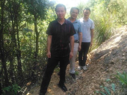 1721098759350355.jpg 1721098745413.jpg