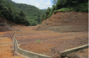 1728868889623247.jpg 1728868848608.jpg