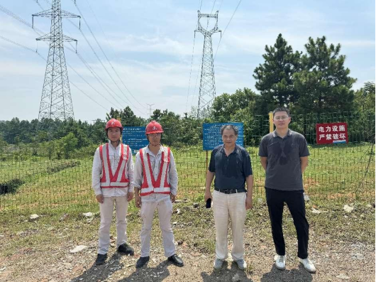 1734929605398393.jpg 1734929570332.jpg