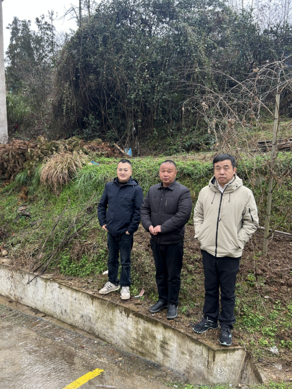 1760337860152174.png c40d5d33-de82-4512-8d9b-9dfa5e8fead2.png